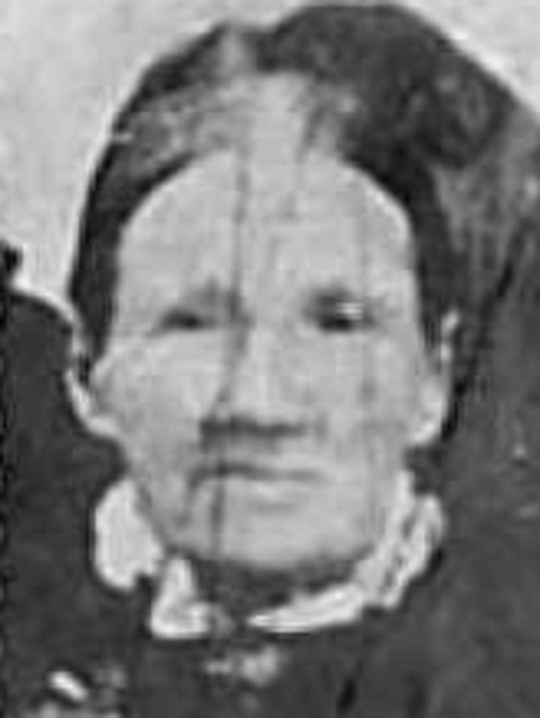 Elisabeth Marie Christoffersen (1819 - 1911) Profile